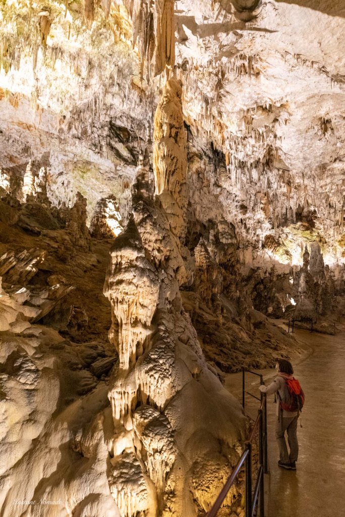 grotte postojna slovenie