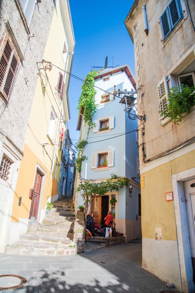 maison coloree koper