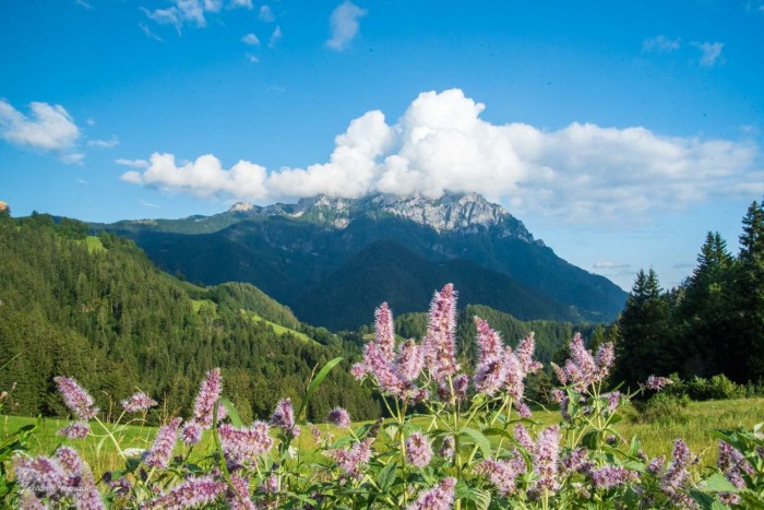 route panoramique solcava