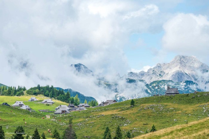 vue brumeuse velika planina