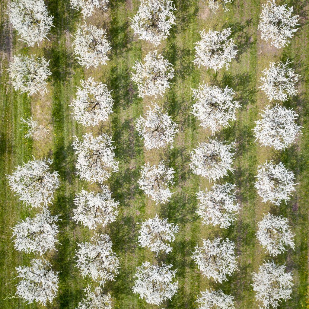 drone mirabelliers meuse