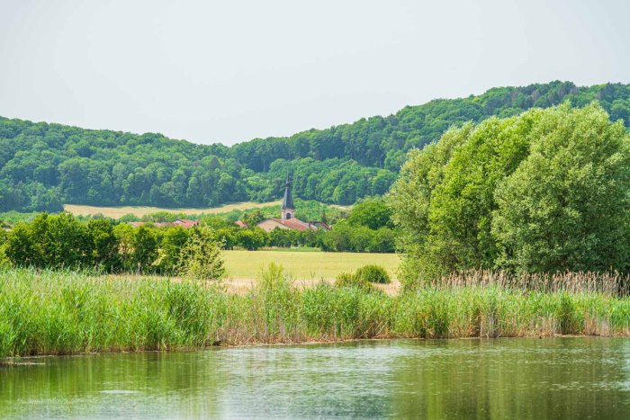 meuse verdoyante lac madine