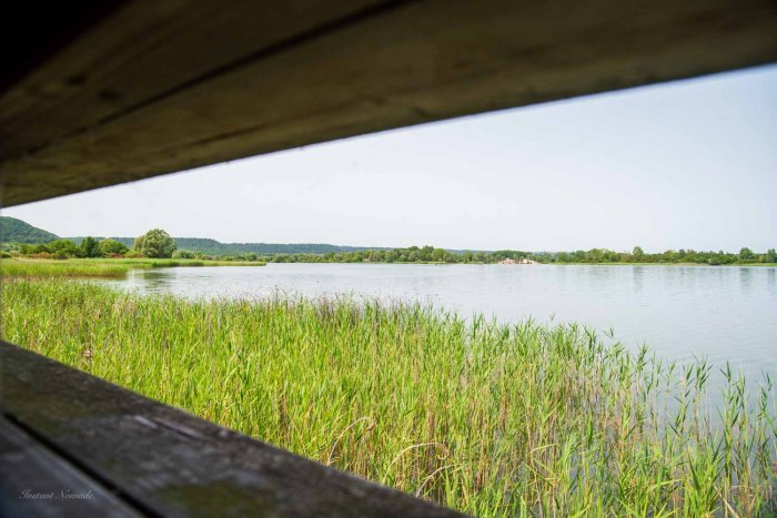 observatoire oiseaux lac madine meuse