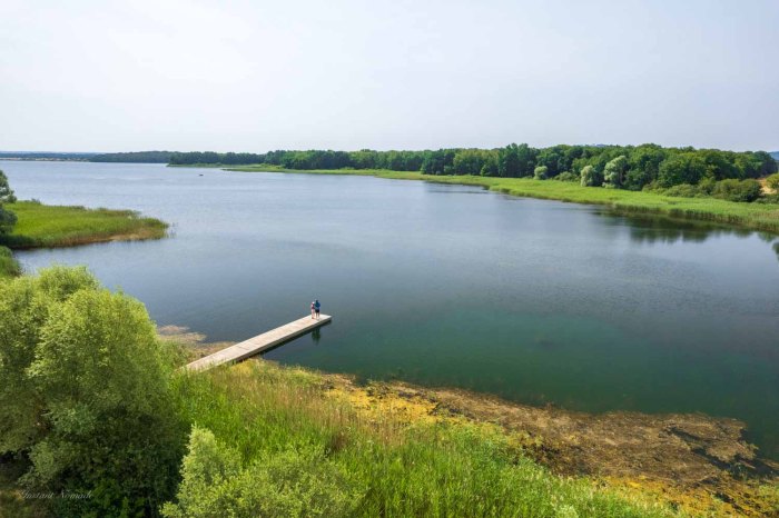photo ponton lac de madine meuse