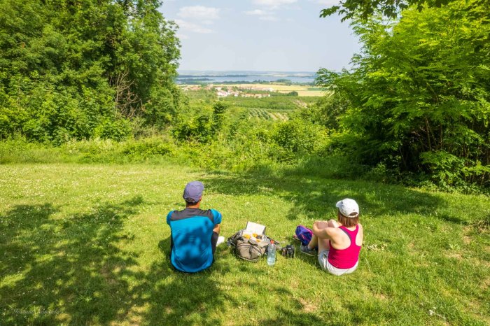 point de vue lac de madine meuse