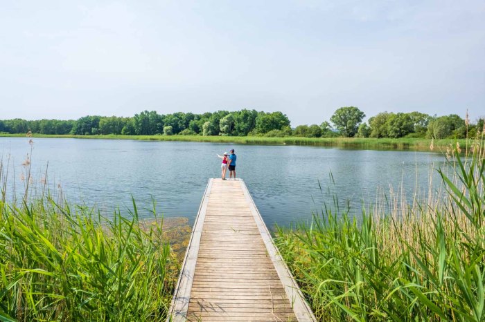 ponton lac madine meuse