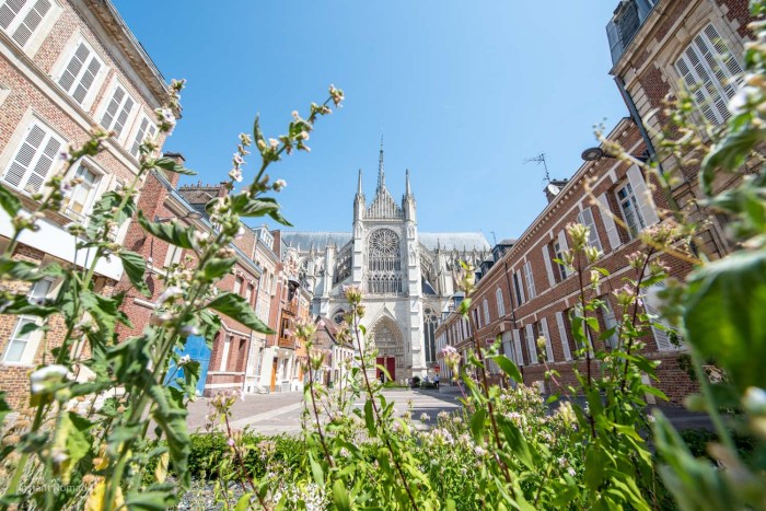 cathedrale amiens picardie