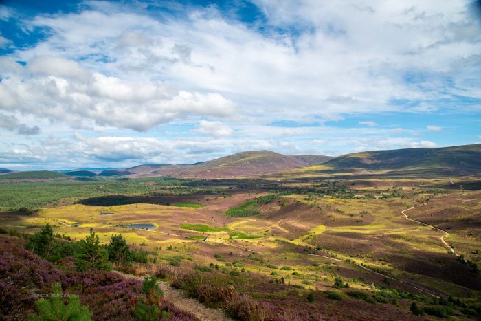 randonnee lac vert ecosse