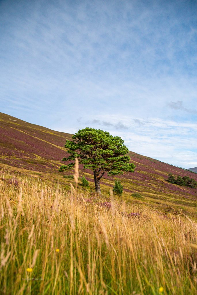 randonnee meall a' buhachaille ecosse