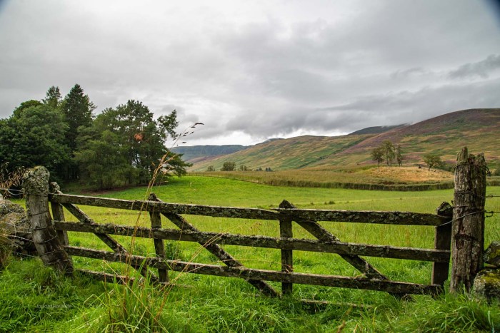 route glen clova ecosse