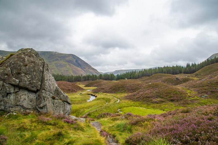 vallee glen clova ecosse