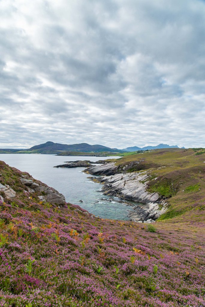 alan's view tarmine ecosse