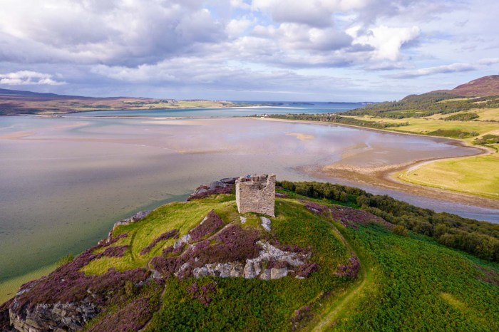 chateau varrich tongue