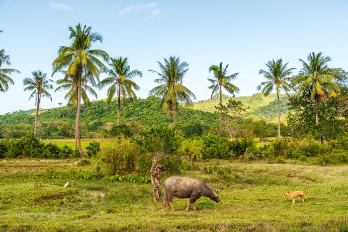 campagne philippines