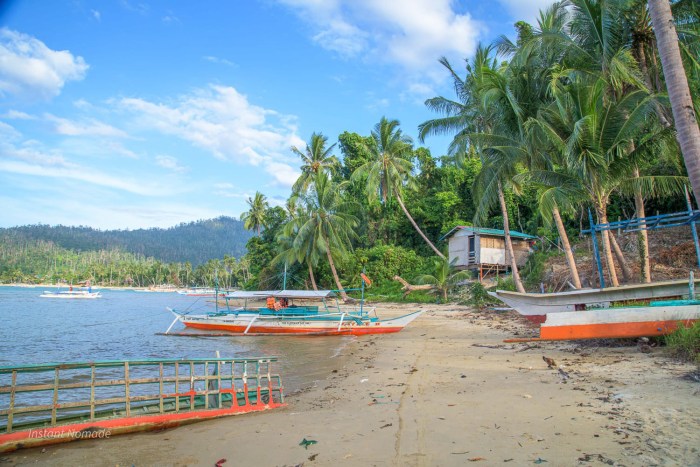 plage palmier port barton philippines