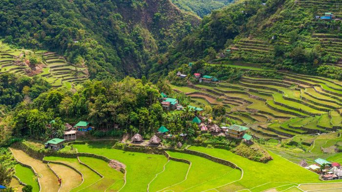 riziere batad philippines