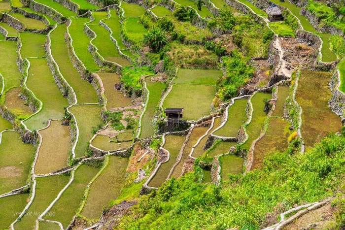 riziere batad philippines