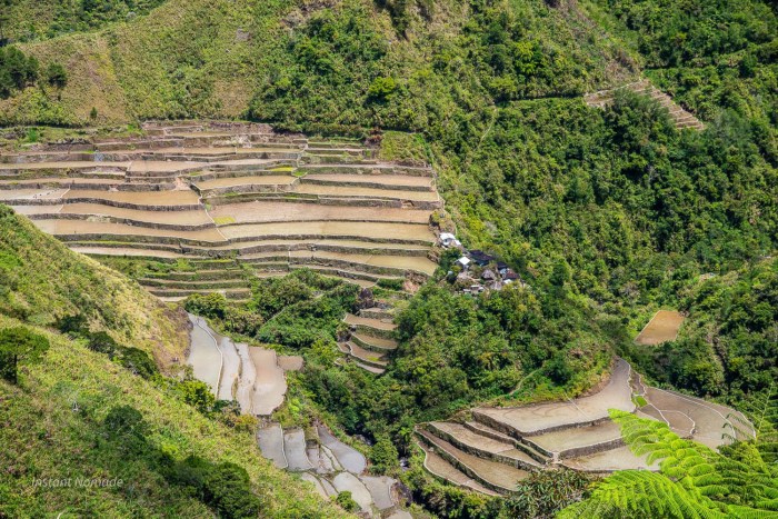 riziere pula philippines