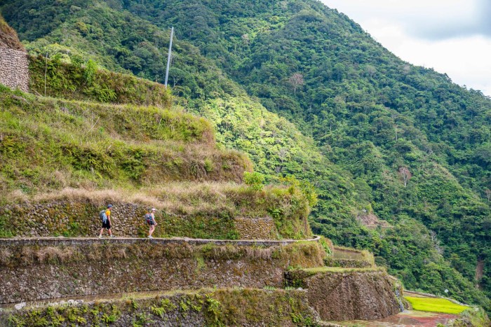 sentier rizieres philippines