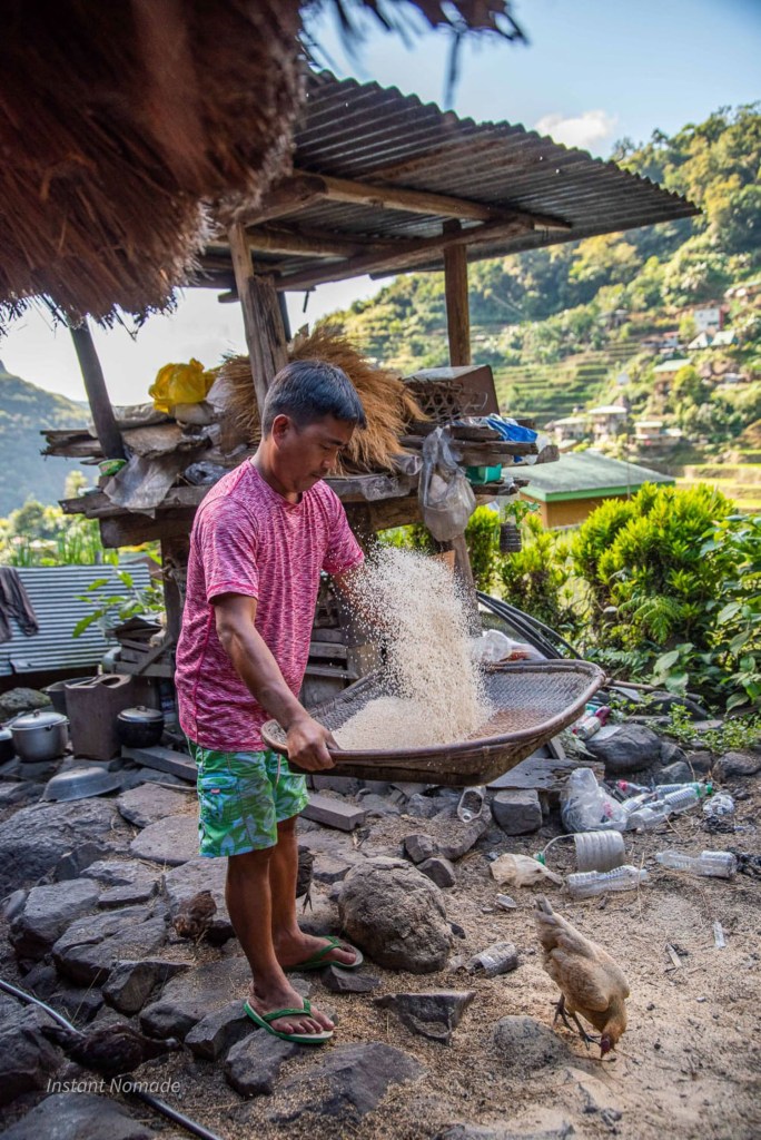 tradition riz philippines