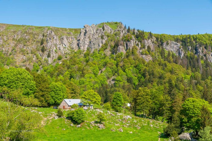 crête hohneck vosges