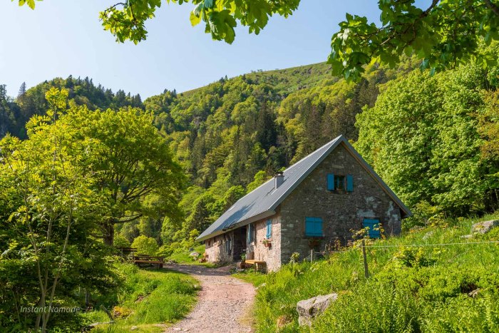 ferme auberge hohneck