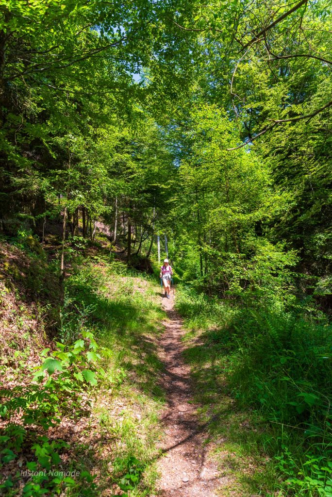 foret pierre percee vosges