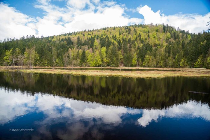 lac de lispach vosges