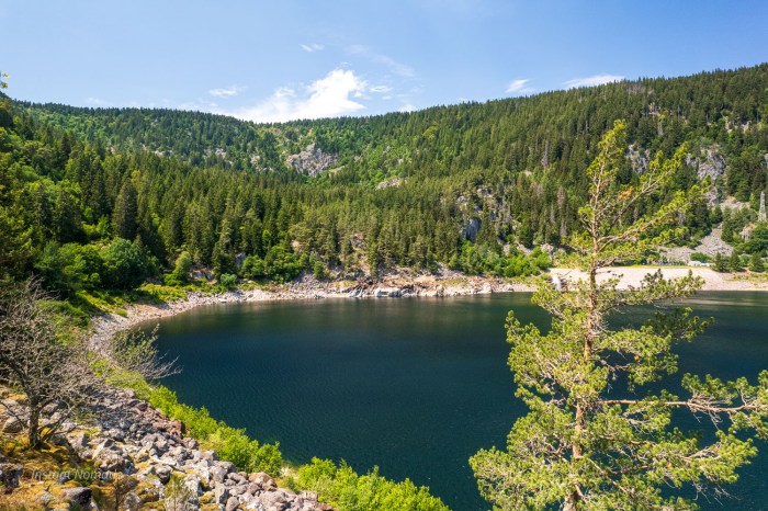 lac noir randonnee vosges