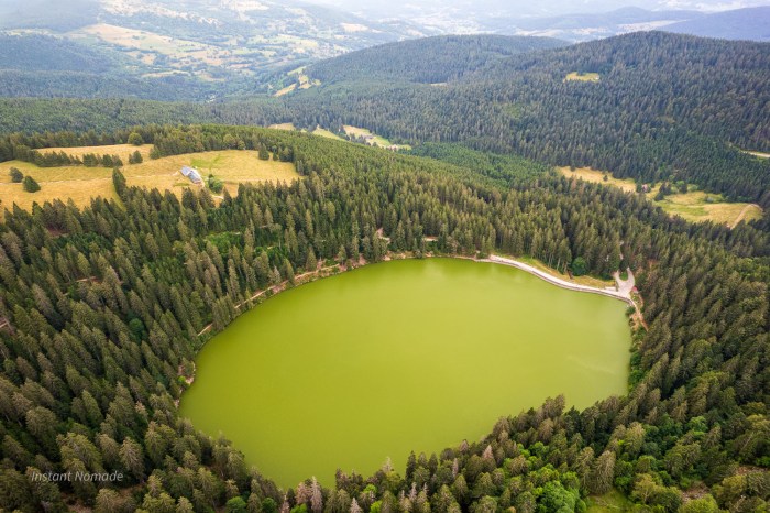 lac vert vosges