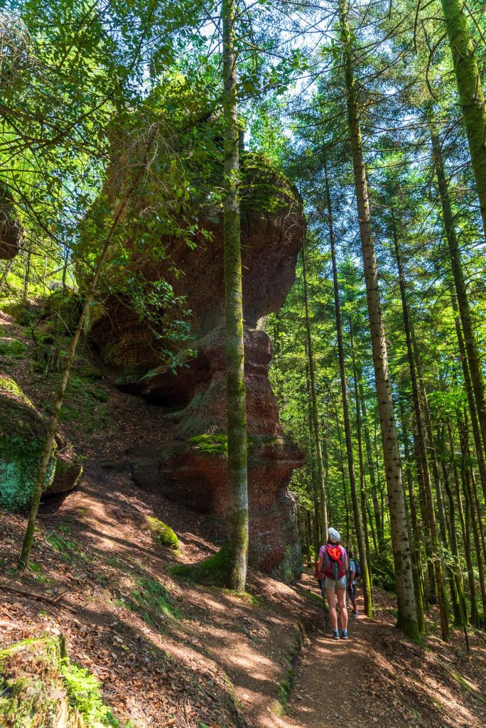 randonnee petit canada vosges