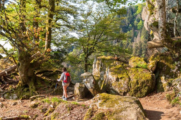 sentier des roches vosges