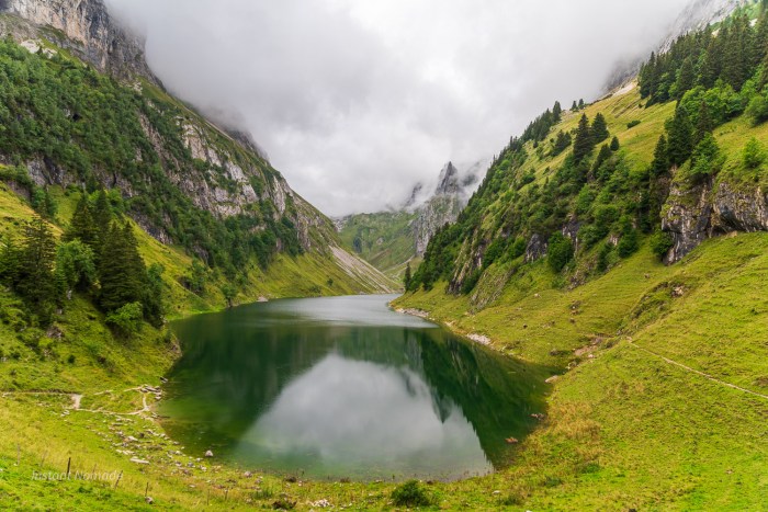 fallensee suisse