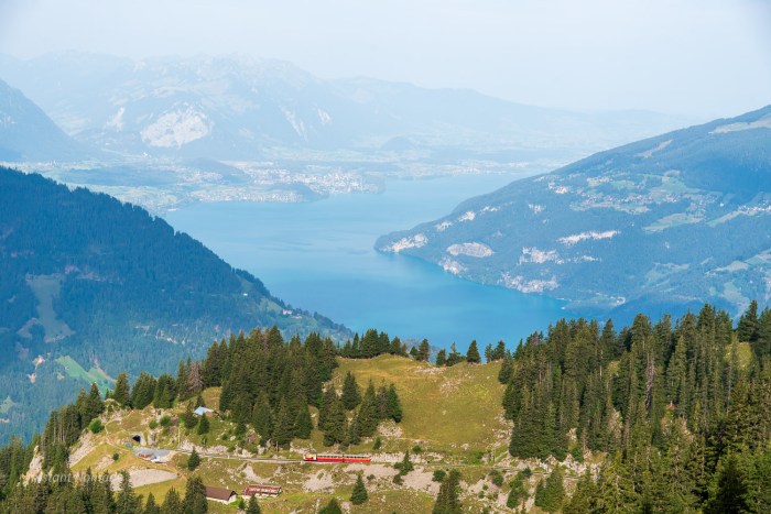 train panoramique schynige platte