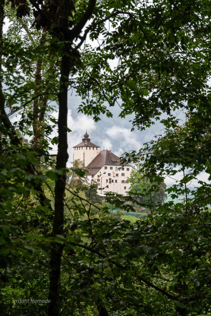 chateau werdenberg suisse