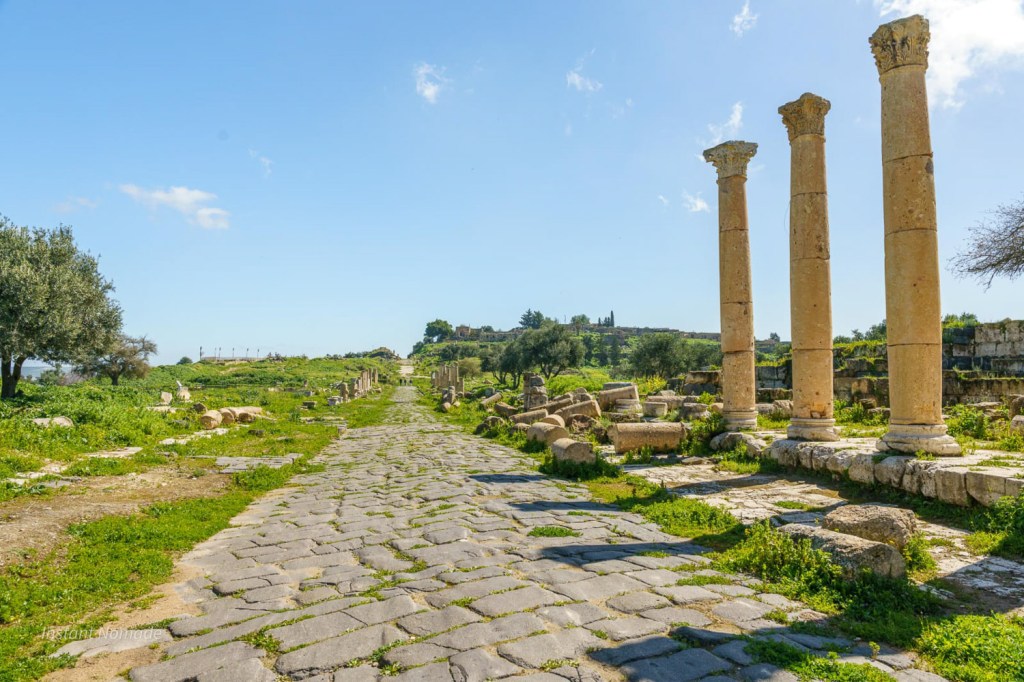 site umm qays jordanie