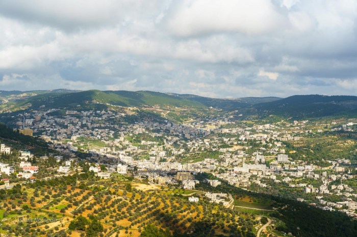 vue citadelle ajloun jordanie