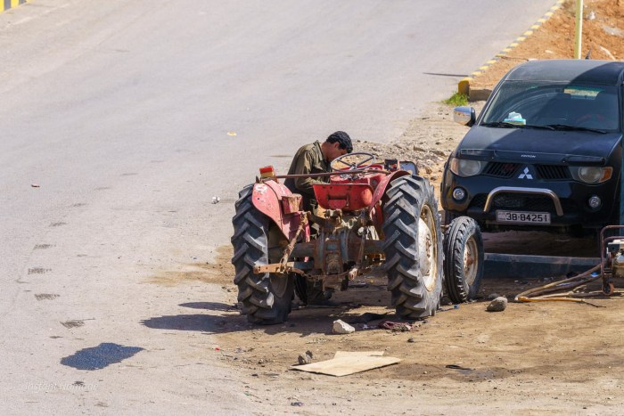 roadtrip est jordanie