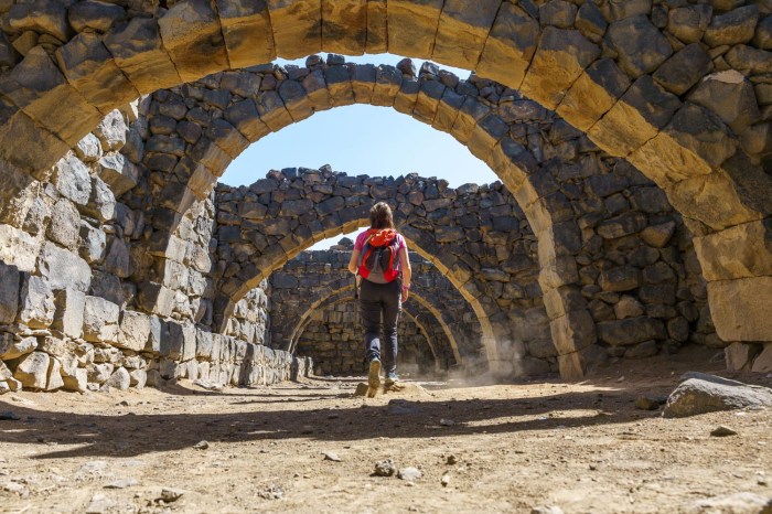 chateau basalte noire jordanie