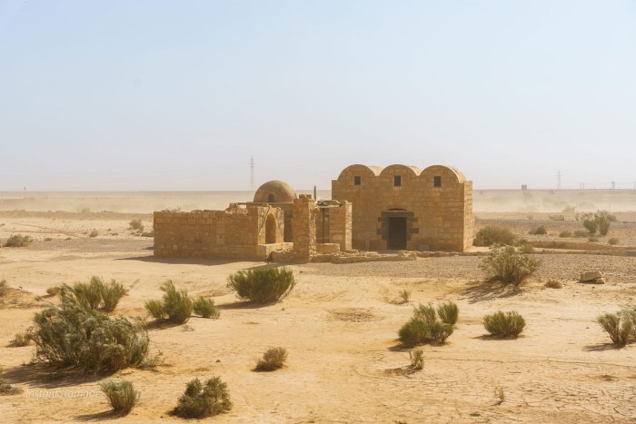 chateau du desert amra jordanie