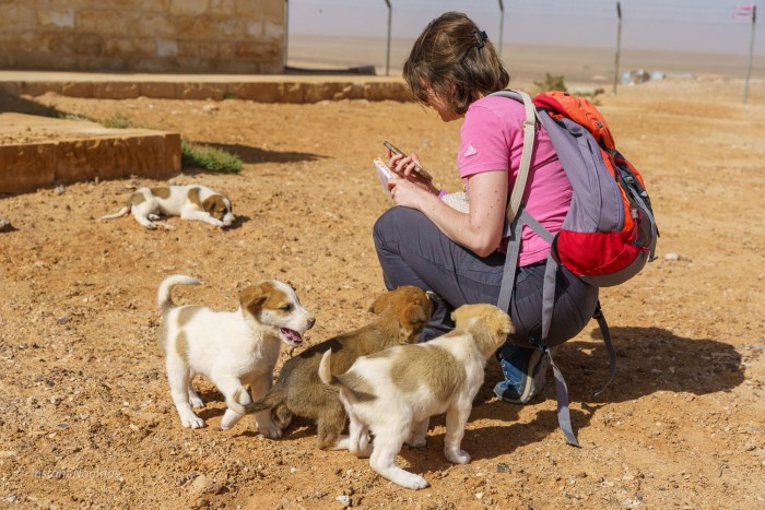 chateaux du desert jordanie