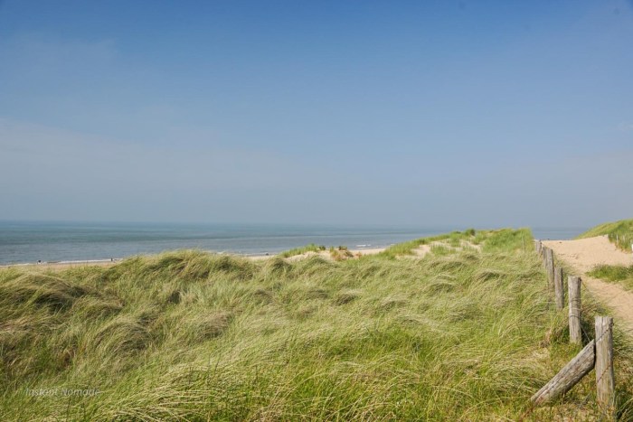 balade parc dunes pays bas