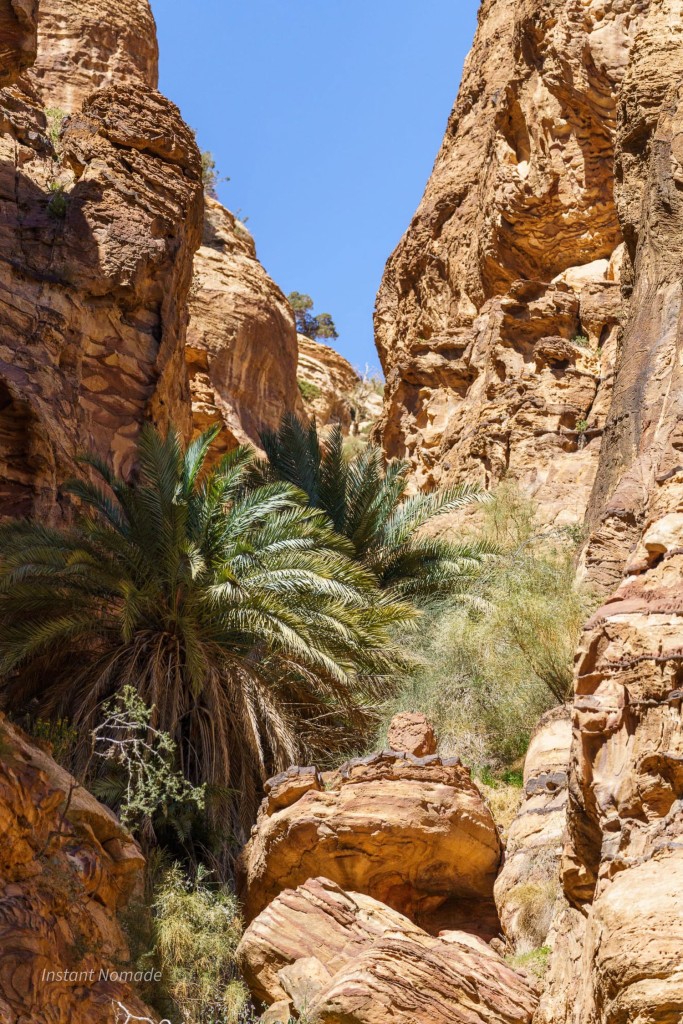 balade wadi ghuweir jordanie