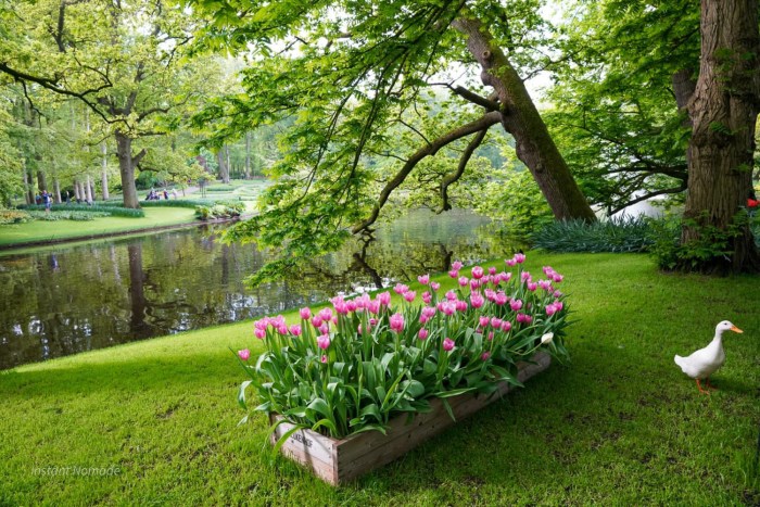 keukenhof
