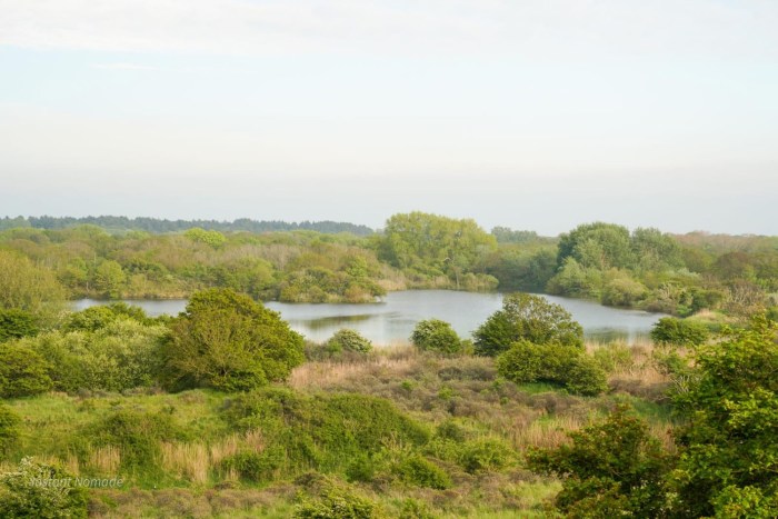 parc dunes hollandaises