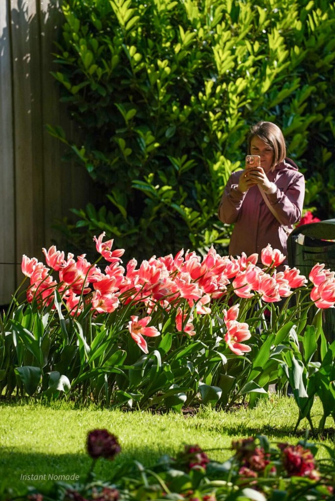 parc floral keukenhof