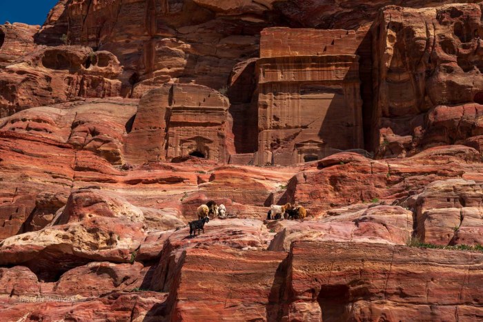 3 jours petra jordanie