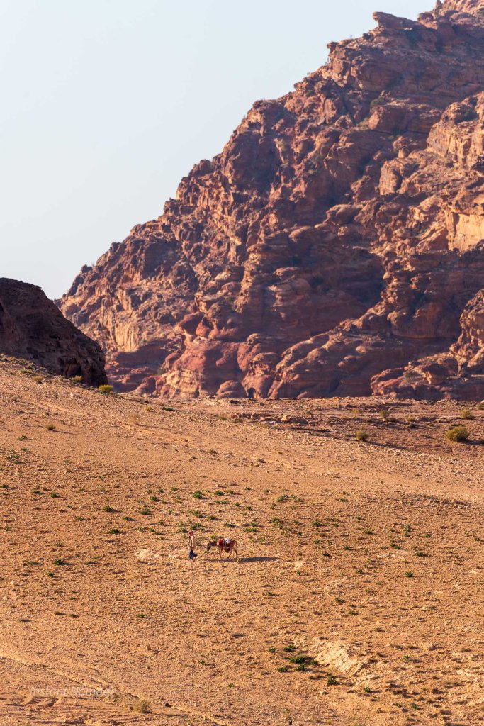 bedouin petra jordanie