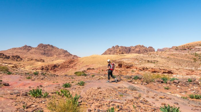 que faire petra jordanie