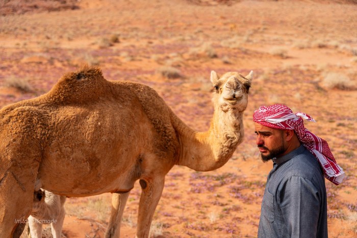 guide wadi rum jordanie